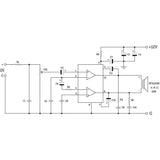 Future Kit Mono Audio Amplifier - DIY Kit - 15W BTL 12V - FK607